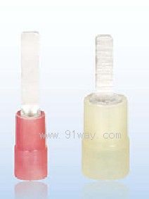 DBNYϵ�������^����Ƭ�ζ���