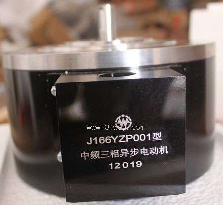 J166YZP001���l���ஐ��늄әC