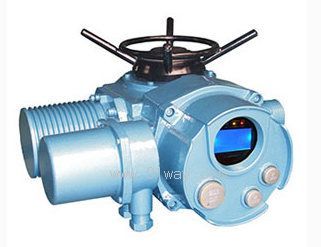 IS늄ӈ�(zh��)�ЙC��(g��u)