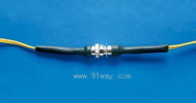 YG3���w�B����