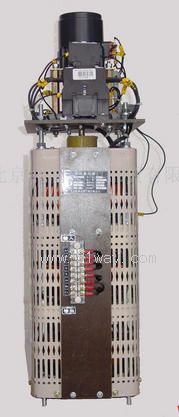 TESGC2-3������3KVA늄��{����