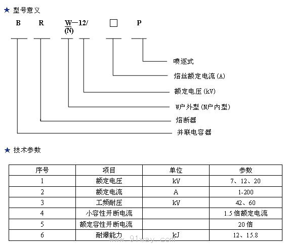 BR2 BR1 BRW BRN BRW2 BR RN RNY1 RNG RW型高壓電容器專用熔斷器型號說明及技術(shù)參數(shù)