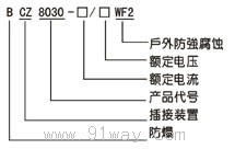 BCZ8030-系列防爆防腐插接裝置(ⅡC)型號說明