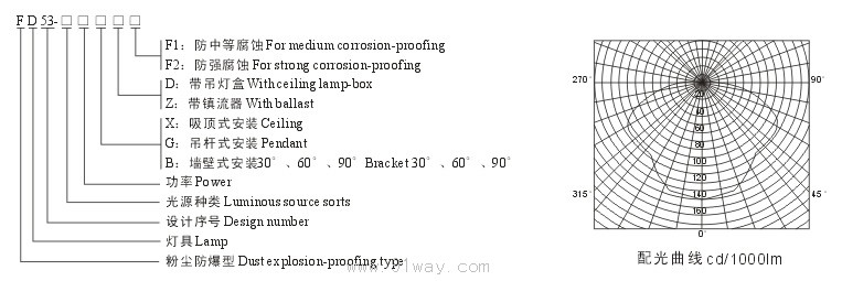 FD53粉塵防爆燈(DIP)型號說明