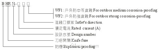 BHR51防爆刀熔開(kāi)關(guān)(ⅡB、ⅡC)型號(hào)說(shuō)明