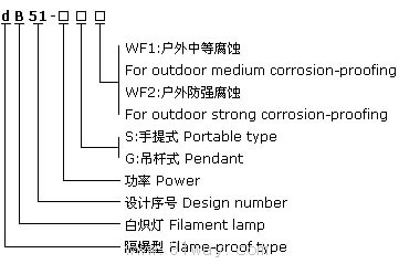 dB51隔爆型防爆燈(ⅡB)選型說明