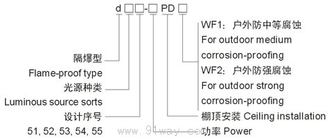 d□□-PD隔爆型防爆燈(棚頂安裝)(ⅡB)選型說明