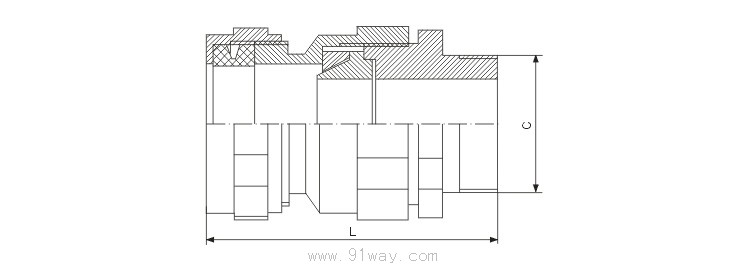 BTL系列防爆填料函(dⅡ)外形尺寸