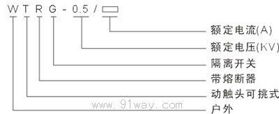 WTRG-0.5系列戶外熔斷器式隔離開(kāi)關(guān)型號(hào)說(shuō)明