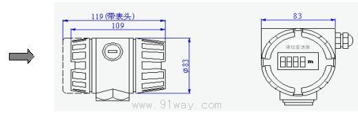 BT311��Ͷ��ʽҺλ׃����BӾ���