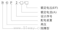BGP2系列礦用隔爆型高壓真空配電裝置型號說明