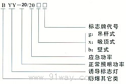 BYY-9/20系列防爆標(biāo)志燈(II B 級(jí))型號(hào)說(shuō)明