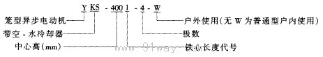 YKS、YKS-W系列高壓三相異步電動機型號說明