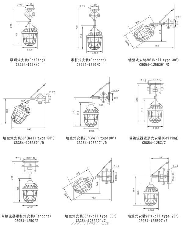 CBG54-125隔爆型防爆燈(ⅡB ⅡC)外形及安裝尺寸
