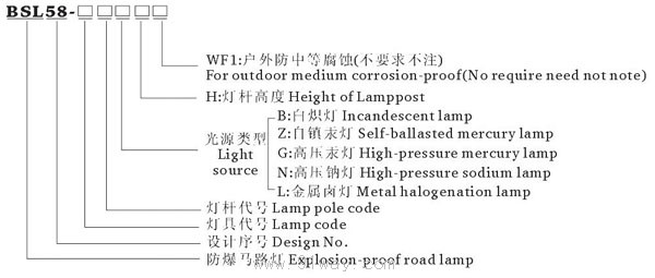 BLS58-系列防爆馬路燈(ⅡBⅡC e)選型說明