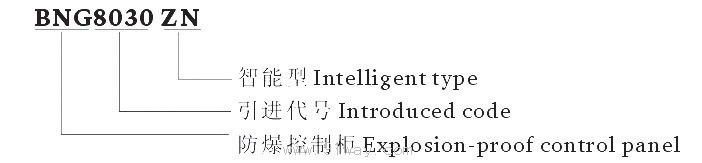 BNG8030-ZN系列防爆防水智能控制柜(ⅡB P)型號說明