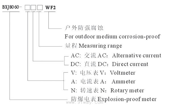 BYB8060系列防爆防腐電表(e)選型說明