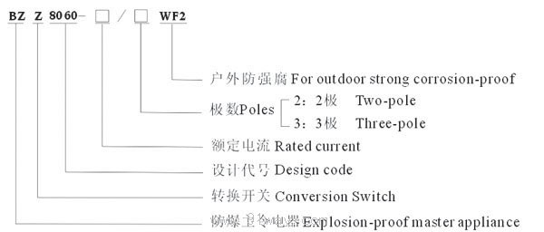 BZZ8060系列防爆防腐轉換開關(ⅡC)型號說明