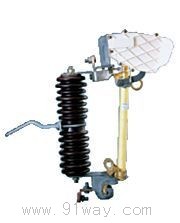 PRWG1-10kVϵ�е���ʽ�۔���