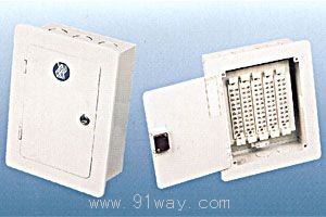 ZX9-�Ԓ�ֽ��䣨�F����