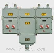 BXM(D)51-L����(����/��(d��ng)��)���(©늱��o(h��))(��B)