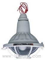 BAD51-DIPϵ�зۉm��������DT��