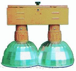 ZYGG-�����V����