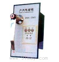 DSN-DM�͑��늴��i