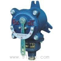 GX-1�V�ø�����������̖�_�P