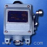 LX918ϵ�д�����λ�_�P