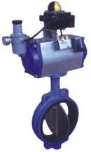 DGT��(�{����/�_�P��)��ӵ��y