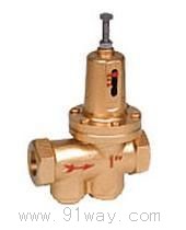 200P(Y11X��)ˮ�Üp���y